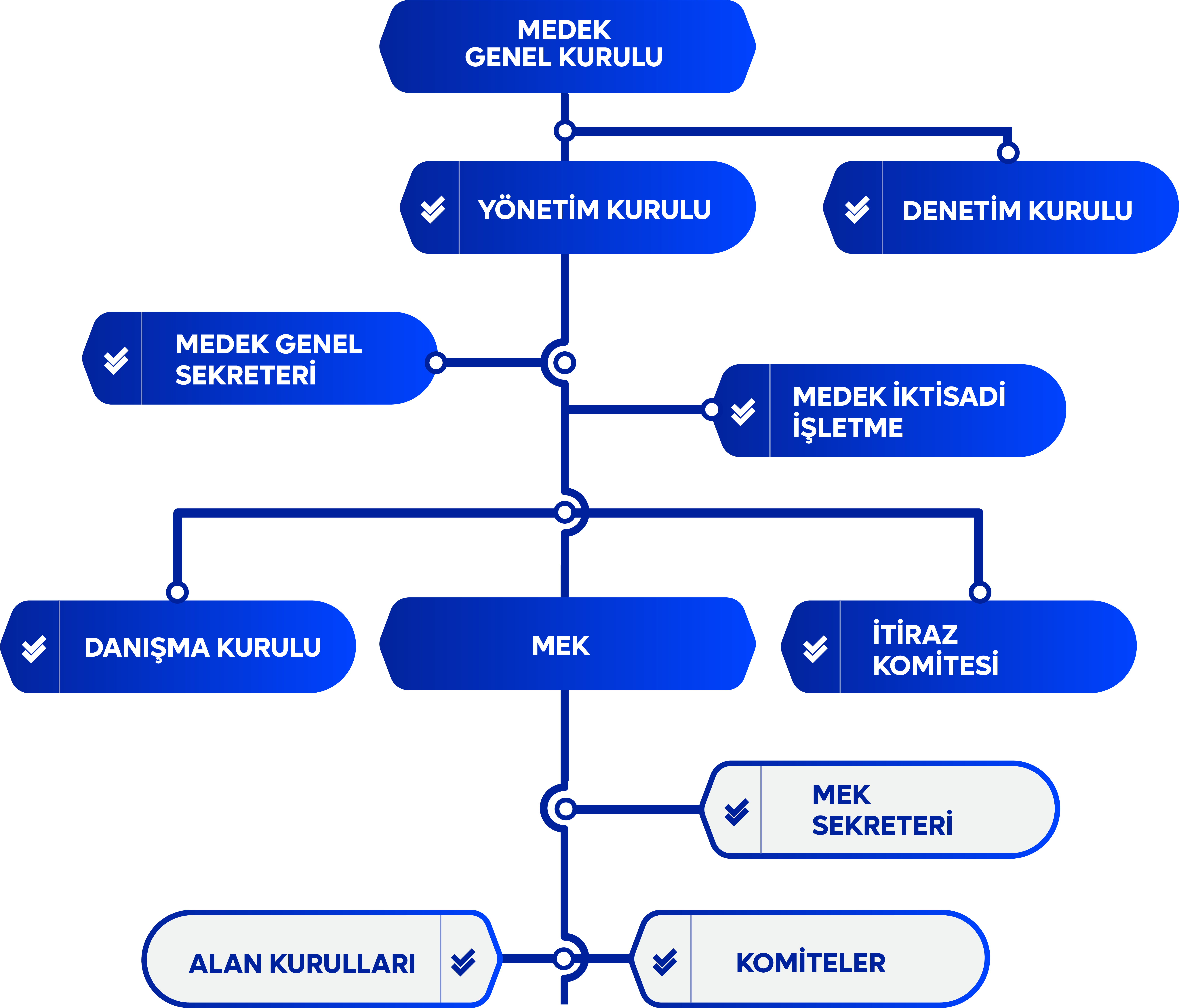 Organizasyon Şeması